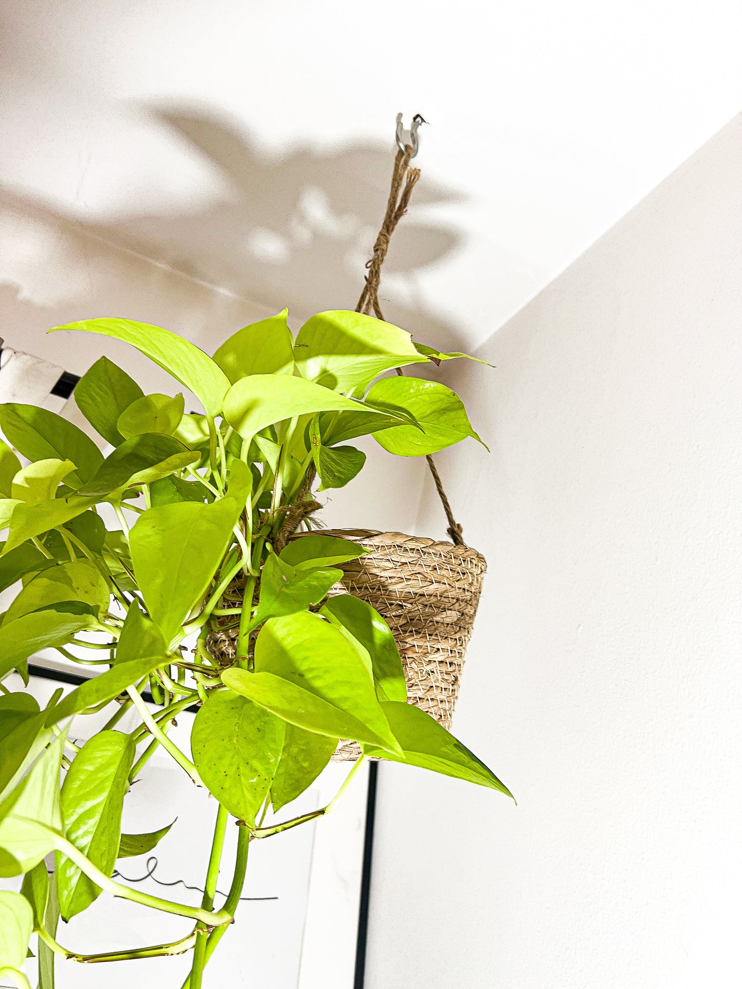 Wicker hanging basket