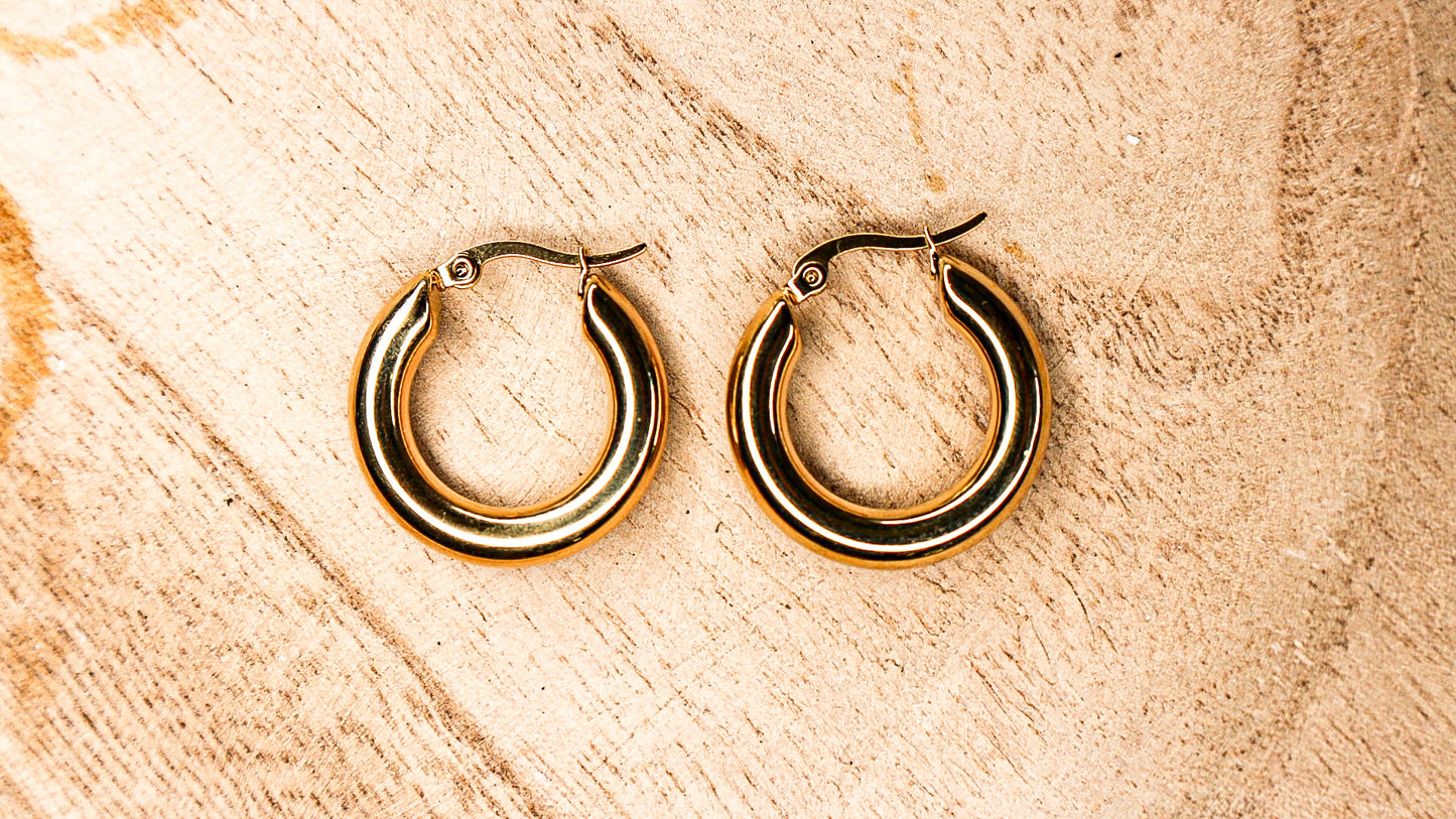 Gold Hoop Huggie Earrings