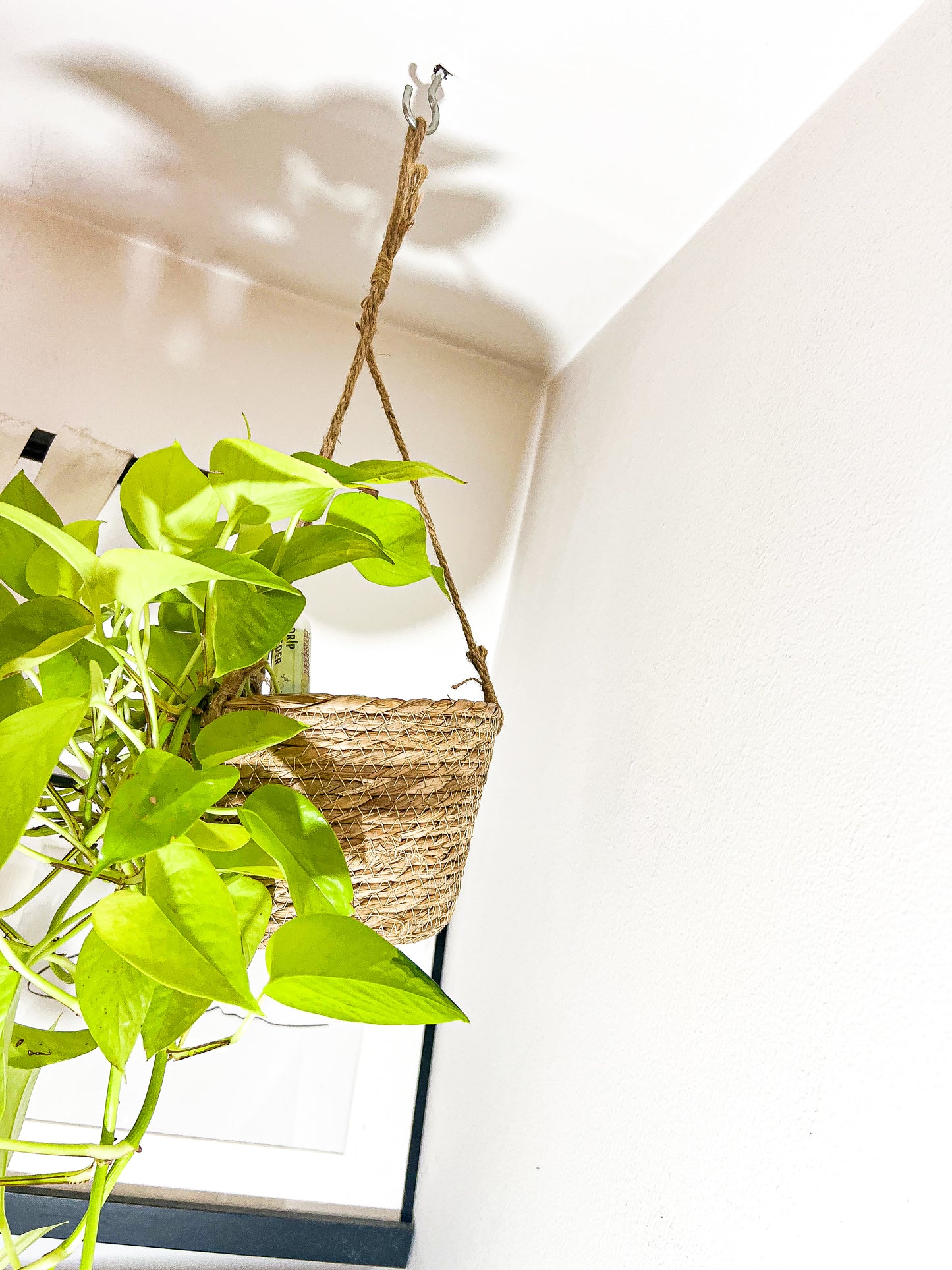 Wicker hanging basket