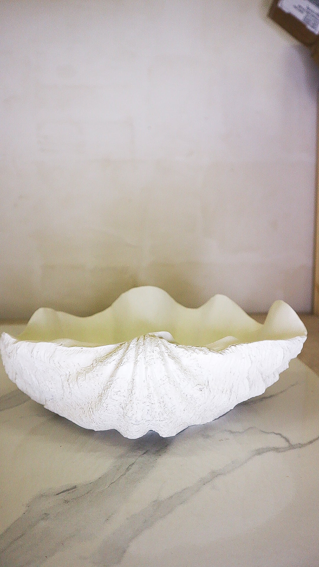 Shell Bowl