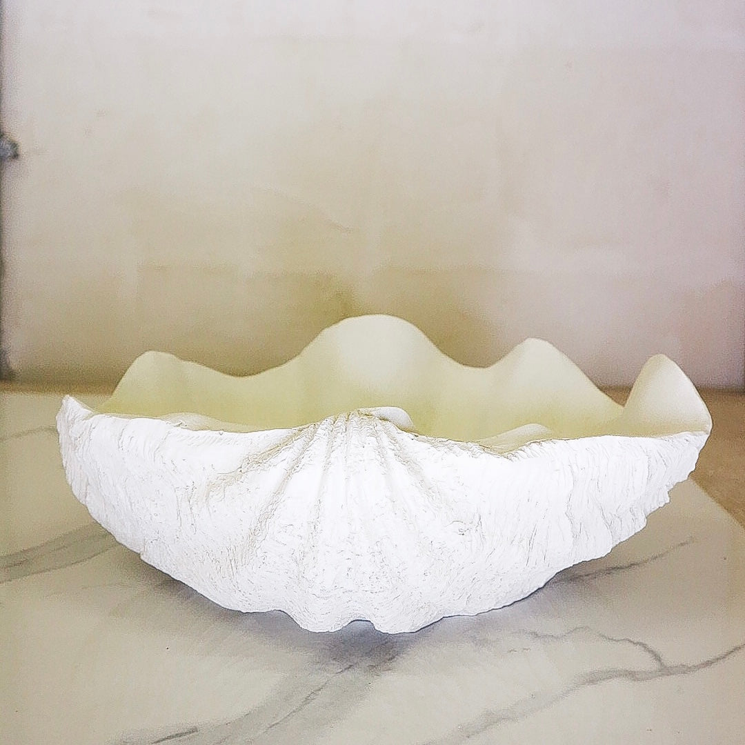 Shell Bowl