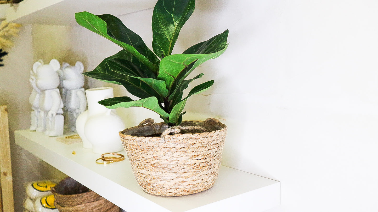 Wicker hanging basket