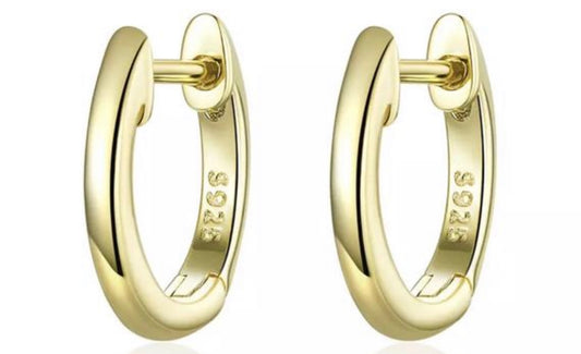 Gold Hoop S925 Huggie Earrings