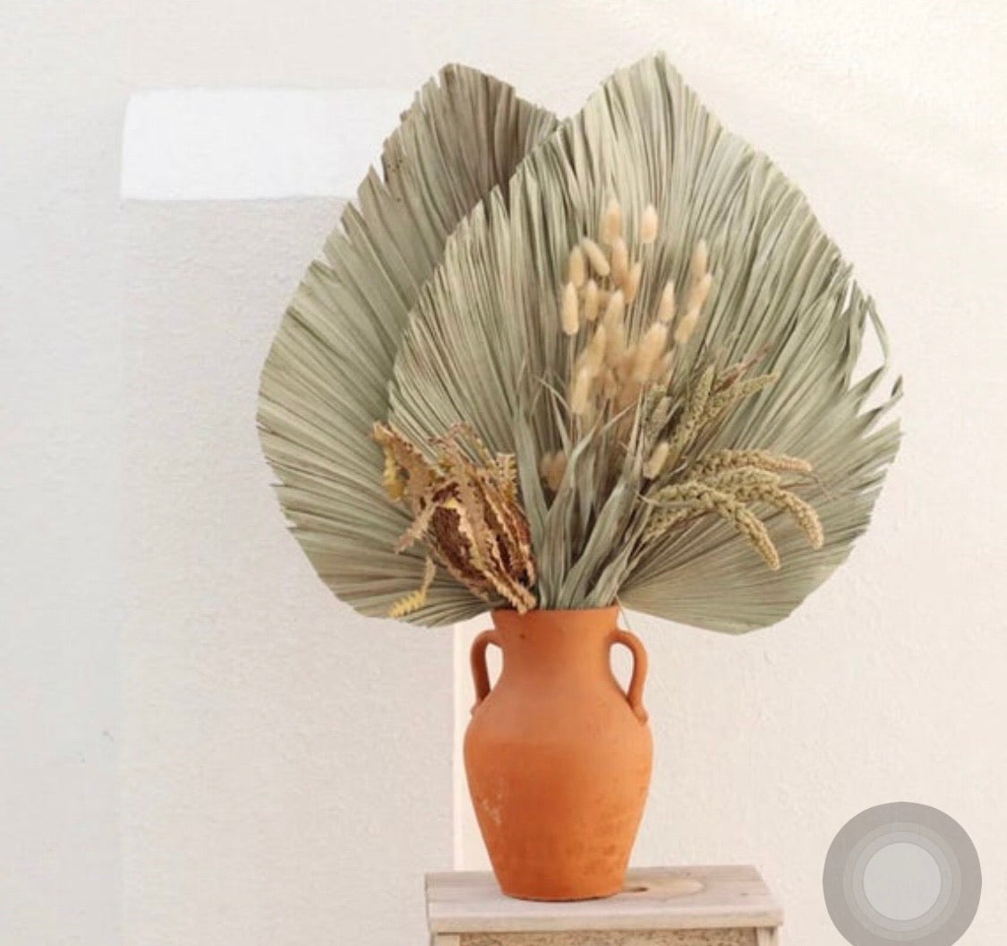 Palm Fan Leaf Dried Flower