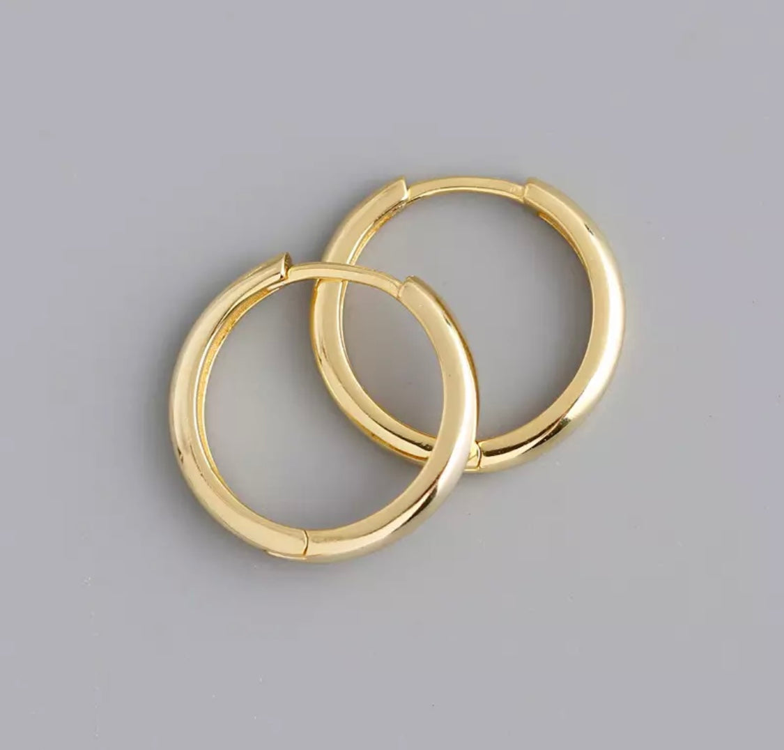 Gold Ara hoops