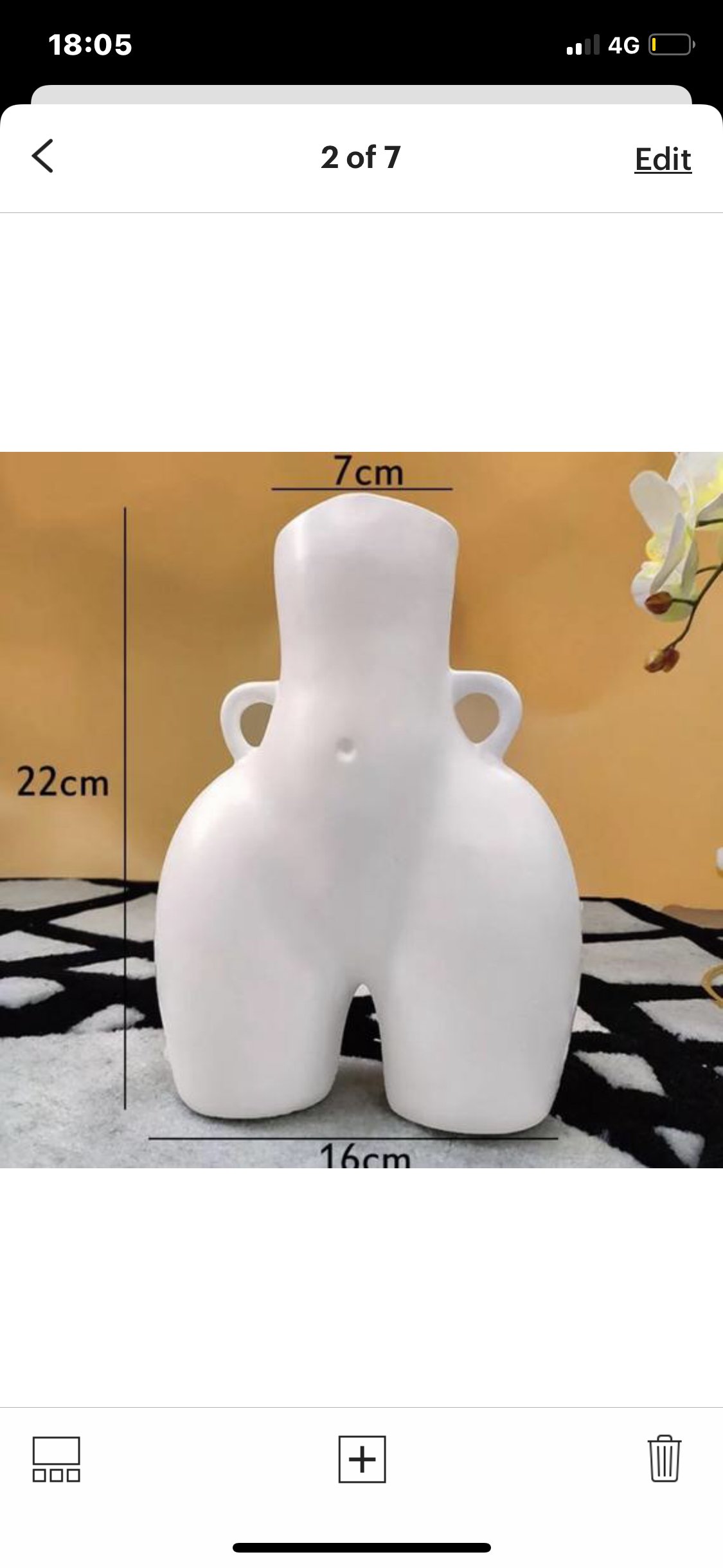 Noella Big Butt Vase